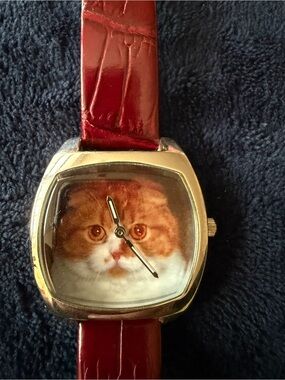 Scottish Fold Cat Watch- Unbranded